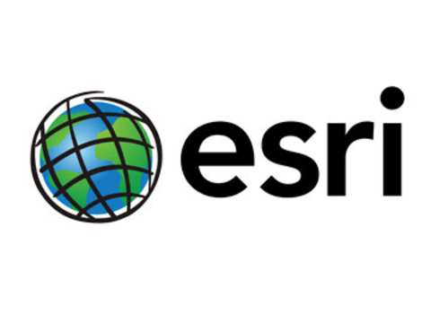 Small esri pug